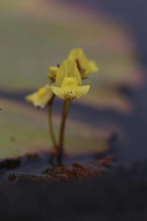 植土的十二个月,四季轮回的生机律动